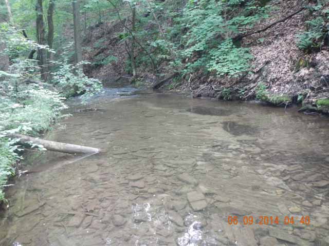 fowlers hollow.Laural run 06-09-14 076.jpg -                                